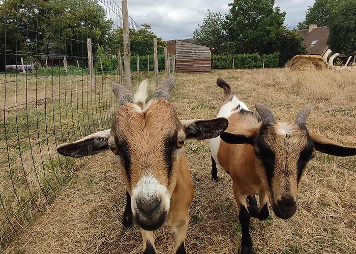 Sejour Bucolique En Roulotte Au Coeur D'une Ferme Familiale En Sarthe - Fr-1-410-229 Semesterbostad Chantenay-Villedieu